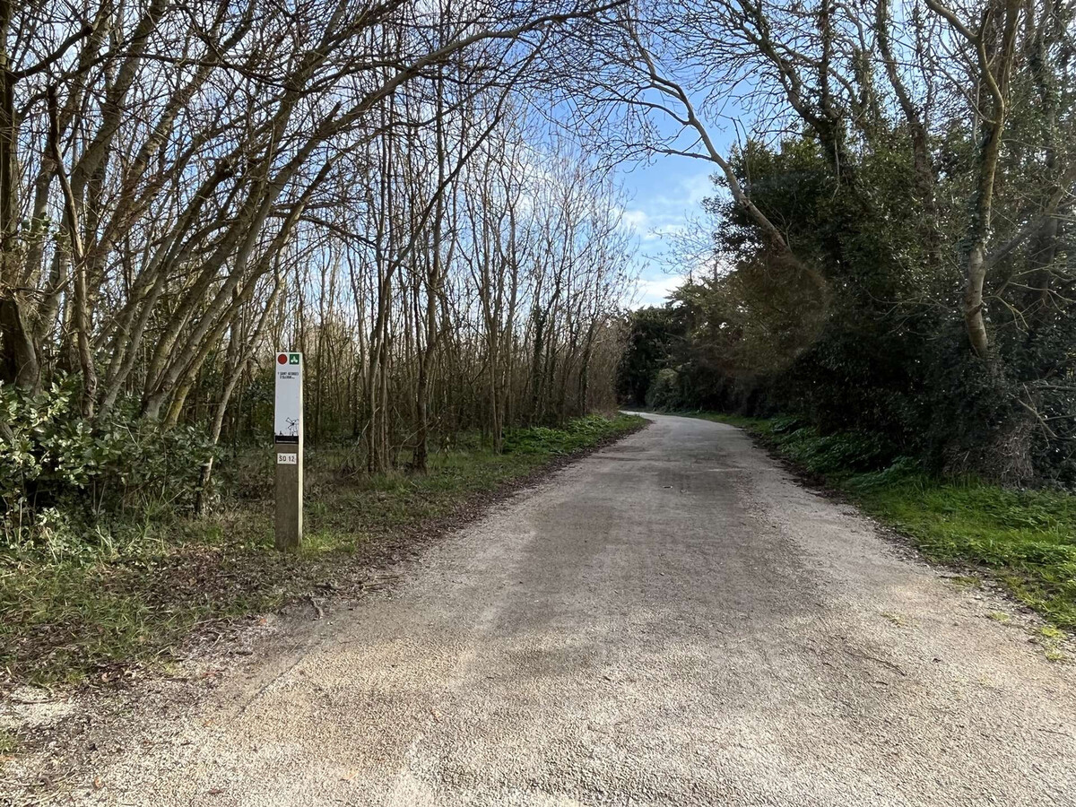 Maison 3 pièces à Saint-Denis-d'Oléron, 6 min à vélo de la plage - Photo 12