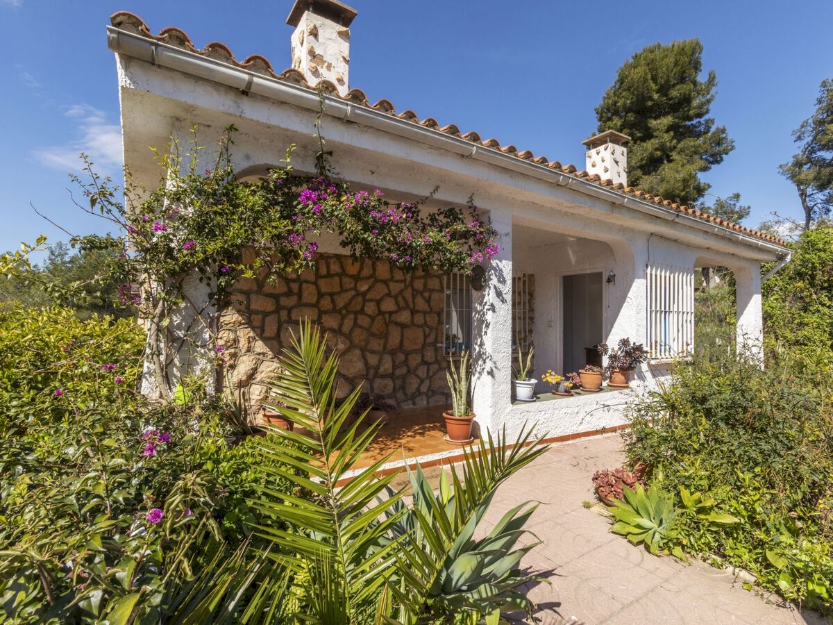 Villa Pedro – Maison 265 m² avec piscine privée à Els Boscos - Photo 21