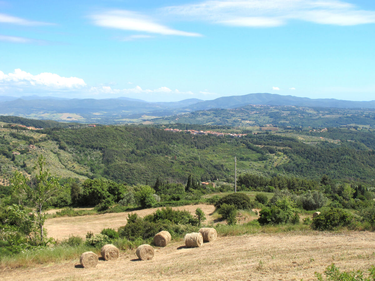 Bellavista – Maison 6 pers. vue mer à Riparbella - Photo 41