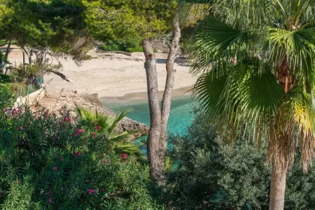 Casa Ramon – Villa 12 pers. accès plage privée Cala d'Or : photo 57