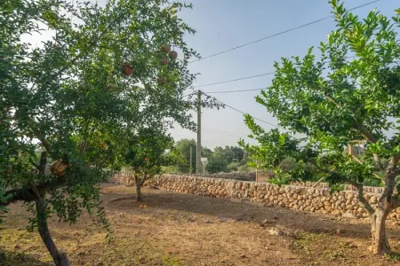 Son Indiot – Villa 10 pers. avec piscine à Algaida : photo 7