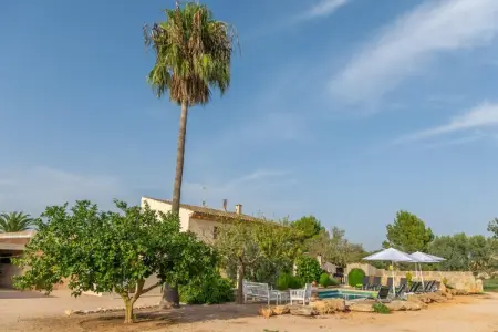 Son Indiot – Villa 10 pers. avec piscine à Algaida : photo 8