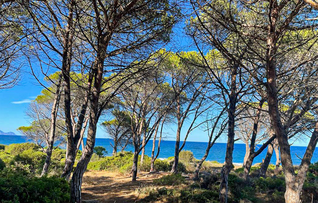 Maison 150 m de la mer, Budoni en Sardaigne - Photo 5