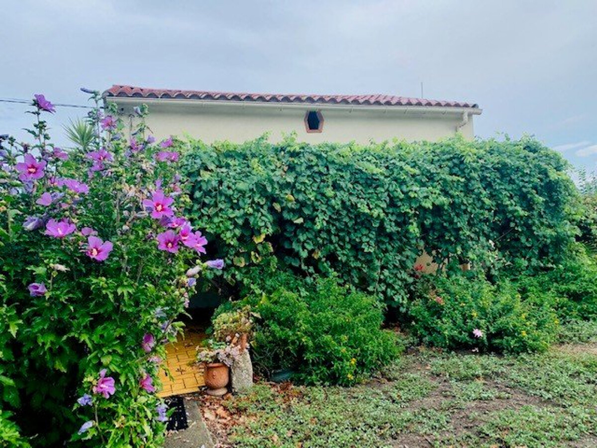 Maison F3 plain pied à Céret, jardin et terrasses - Photo 10