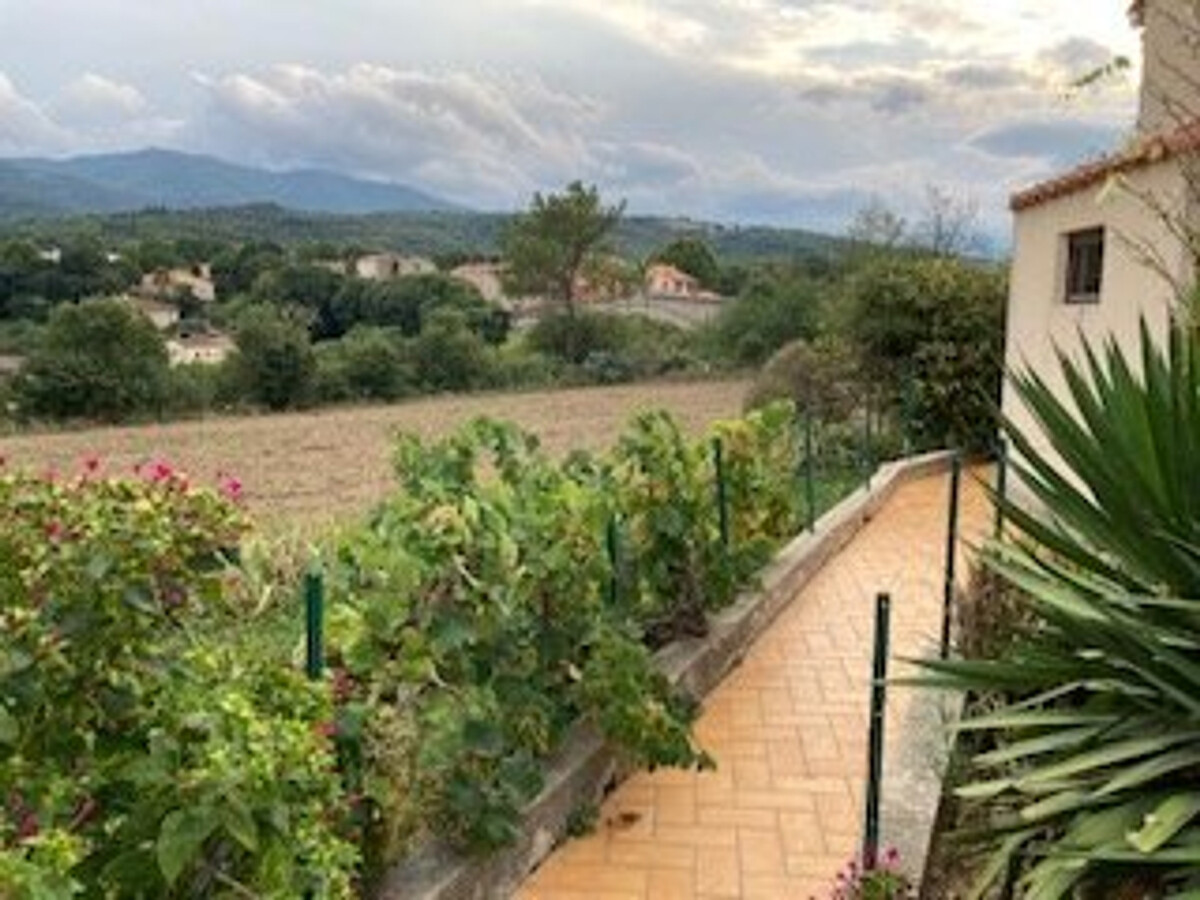 Maison F3 plain pied à Céret, jardin et terrasses - Photo 14