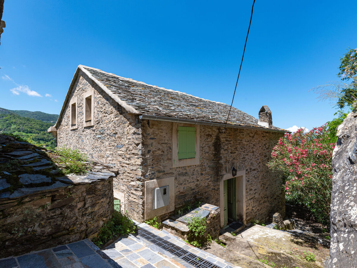 Maison Penta - 4 chambres, vue montagne à Penta-di-Casinca - Photo 28