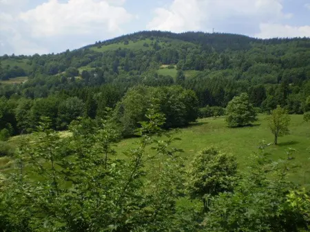 Ancienne chapelle aménagée en gîte indépendant avec terrasse et cheminée - Photo 17
