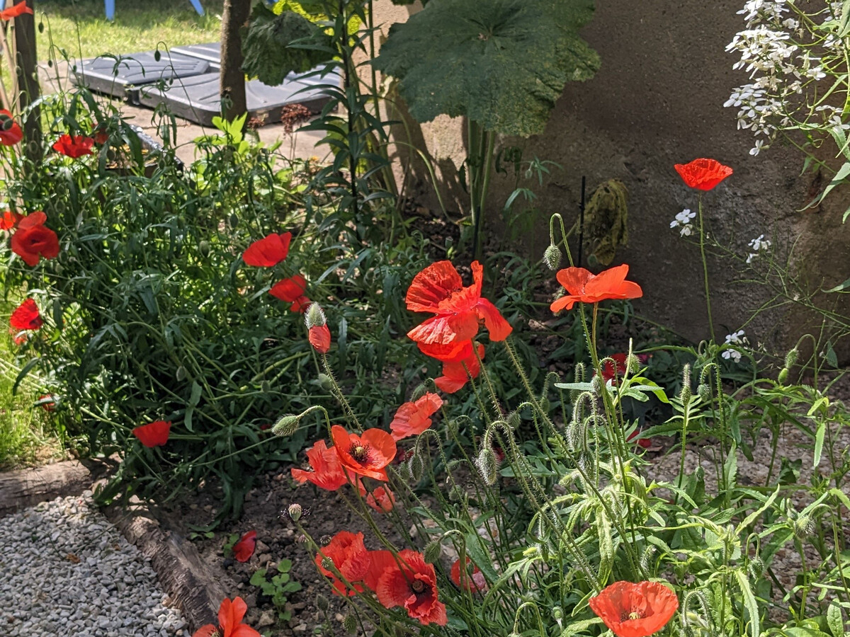 Gîte 6 pers. à la Flèche : calme campagne proche ville - Photo 21