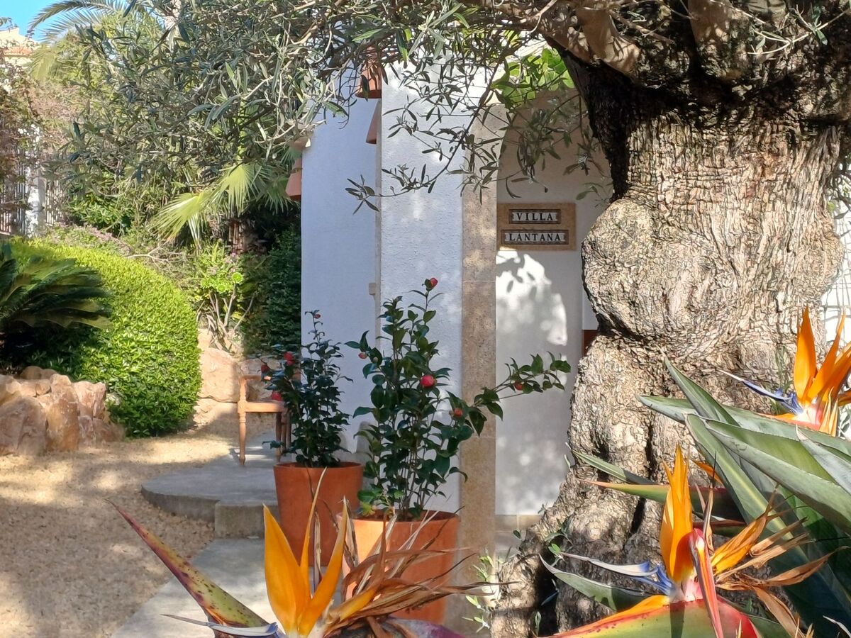 Villa Lantana – Javea, piscine chauffée et vue montagne - Photo 24