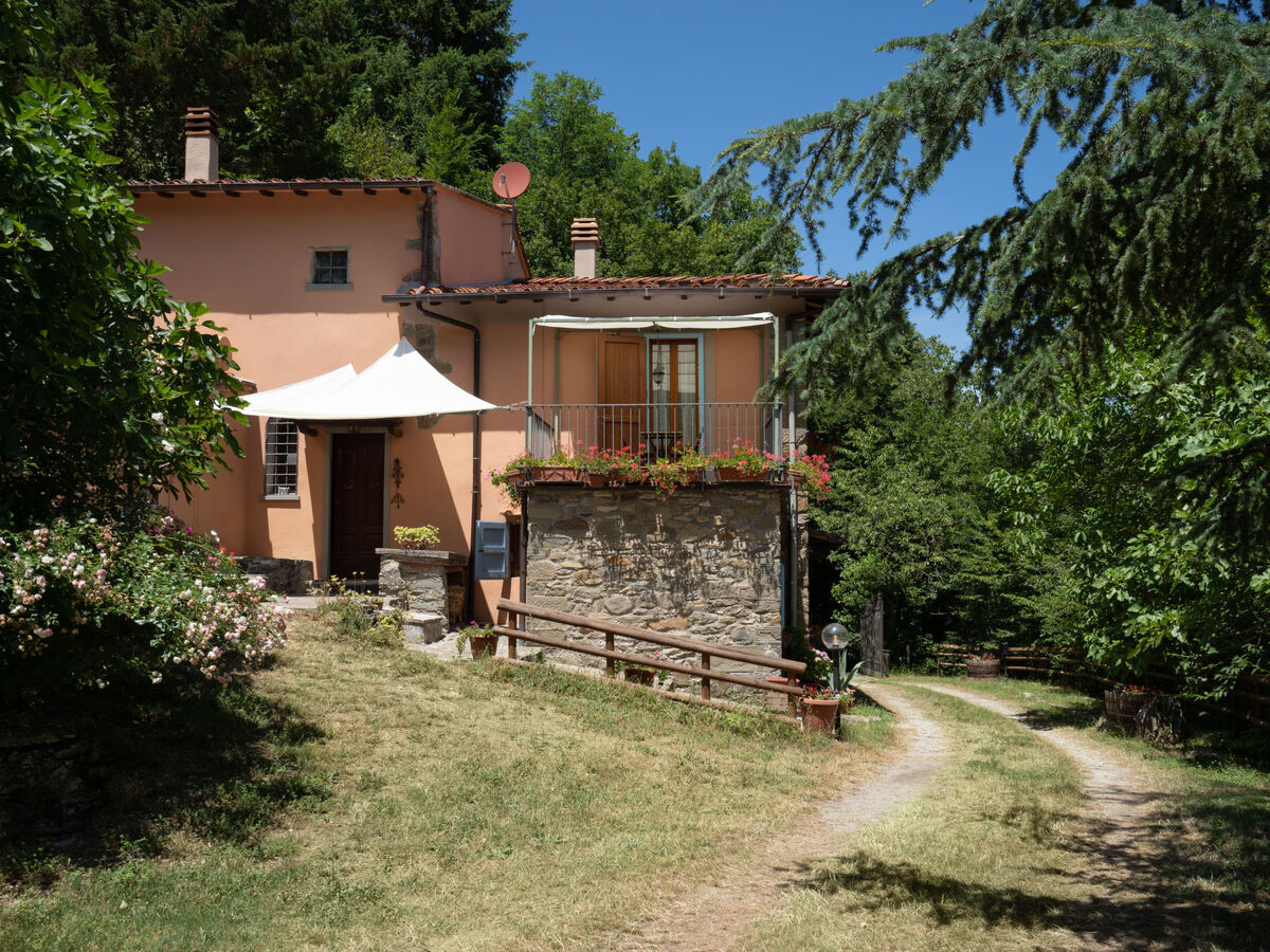 La Valle – Gîte 8 pers. avec piscine, vallée du Mugello - Photo 8
