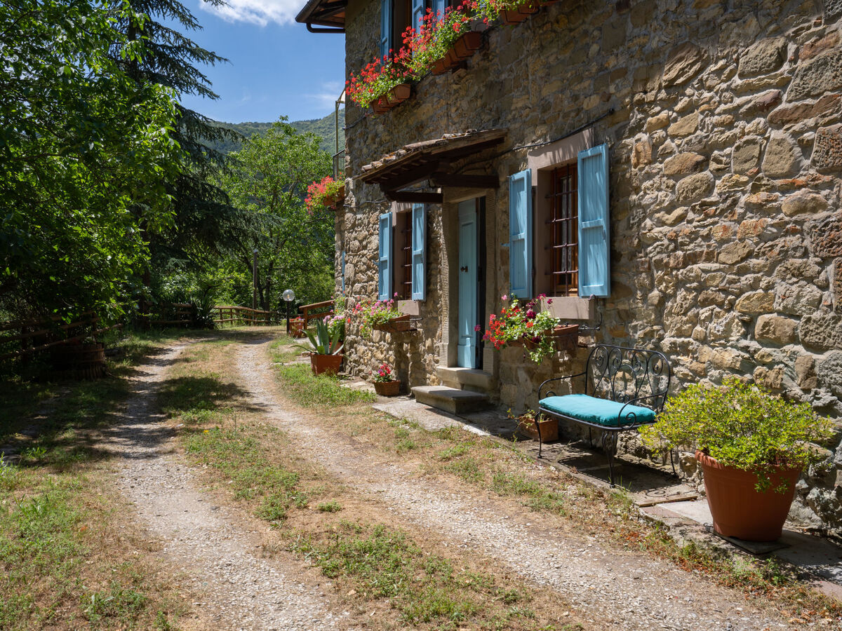 La Valle – Gîte 8 pers. avec piscine, vallée du Mugello - Photo 32