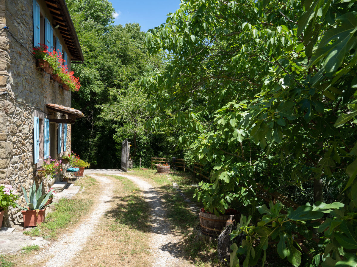 La Valle – Gîte 8 pers. avec piscine, vallée du Mugello - Photo 38