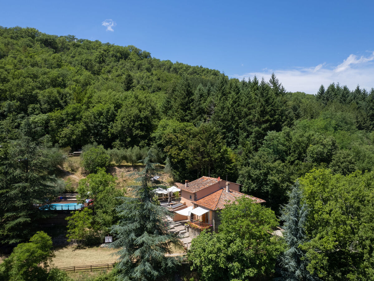 La Valle – Gîte 8 pers. avec piscine, vallée du Mugello - Photo 41