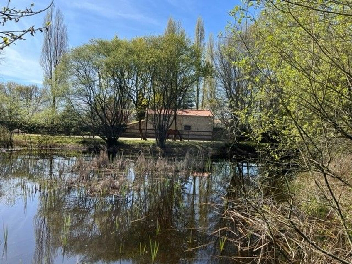 Gîte indépendant Mauves-sur-Loire, 5 pers., terrasse ouest - Photo 13