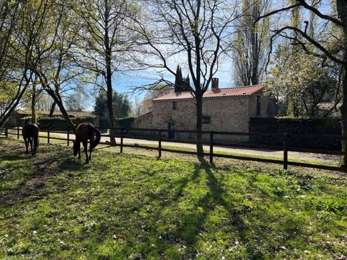 Gîte indépendant Mauves-sur-Loire, 5 pers., terrasse ouest - Photo 14