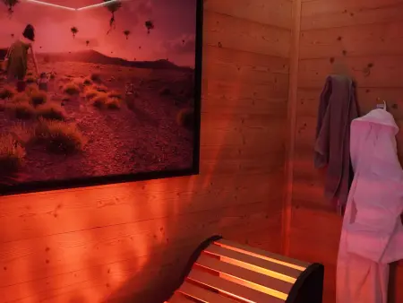 Lodge avec spa privatif et aire de jeux au Chambon-sur-Lignon : photo 33