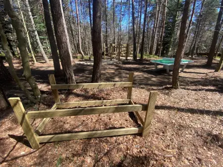Lodge Bellecombe au golf du Chambon avec bain à remous : photo 17