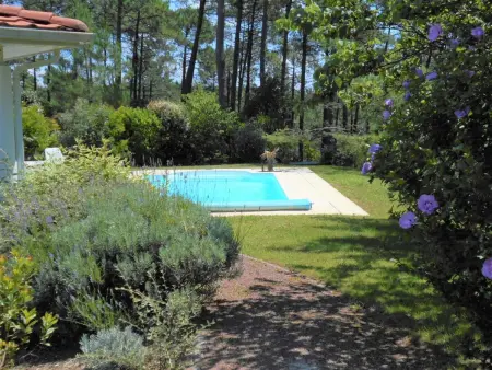 Villa Eden Parc avec piscine à Lacanau : photo 18