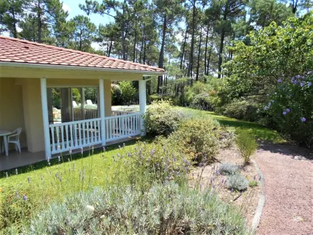 Villa Eden Parc avec piscine à Lacanau : photo 31