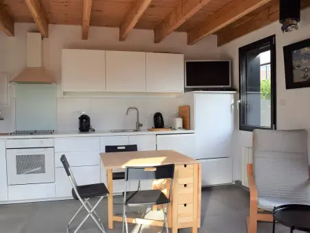 Maison neuve avec jardin à 150m de la mer à Trégastel, proche port et plage - Photo 4