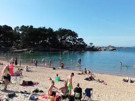 Maison neuve avec jardin à 150m de la mer à Trégastel, proche port et plage - Photo 11