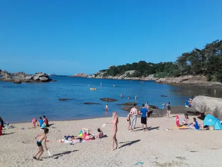 Maison neuve avec jardin à 150m de la mer à Trégastel, proche port et plage - Photo 12