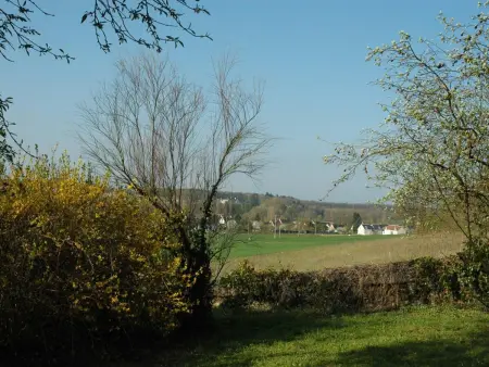 Gîte 17e siècle en Touraine, piscine privée, 1500 m² : photo 21