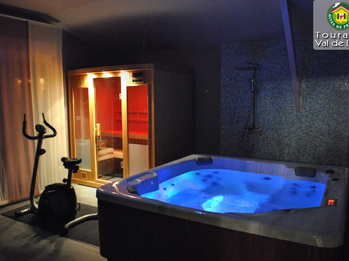 Gîte Touraine 6 pers. Spa, Sauna et Fitness - Photo 1