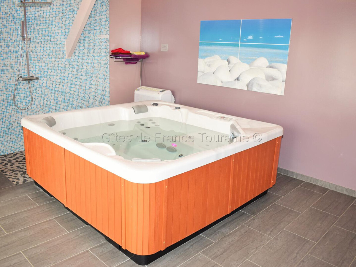 Gîte Touraine 6 pers. Spa, Sauna et Fitness - Photo 3