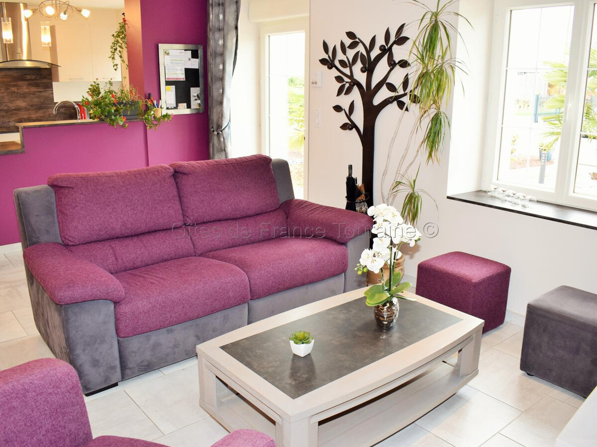 Gîte Touraine 6 pers. Spa, Sauna et Fitness - Photo 9