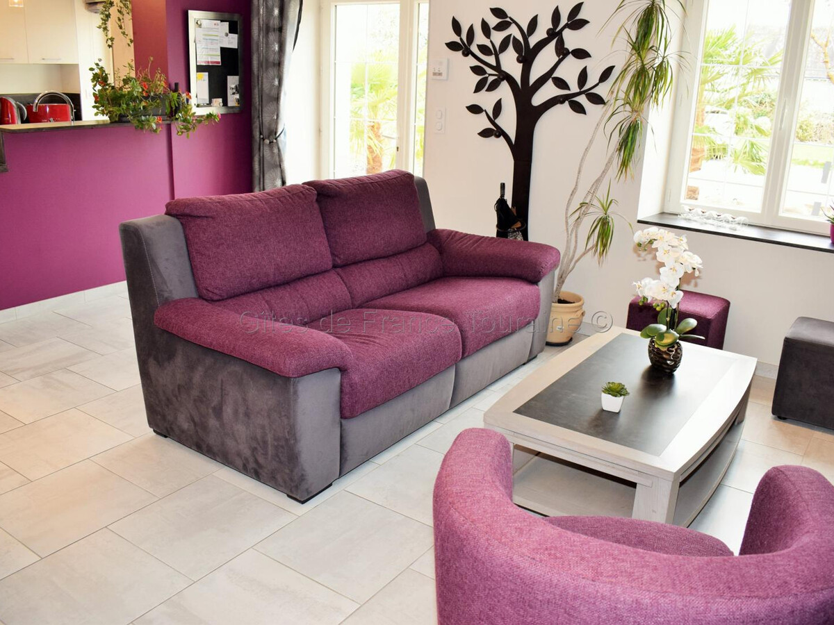 Gîte Touraine 6 pers. Spa, Sauna et Fitness - Photo 11