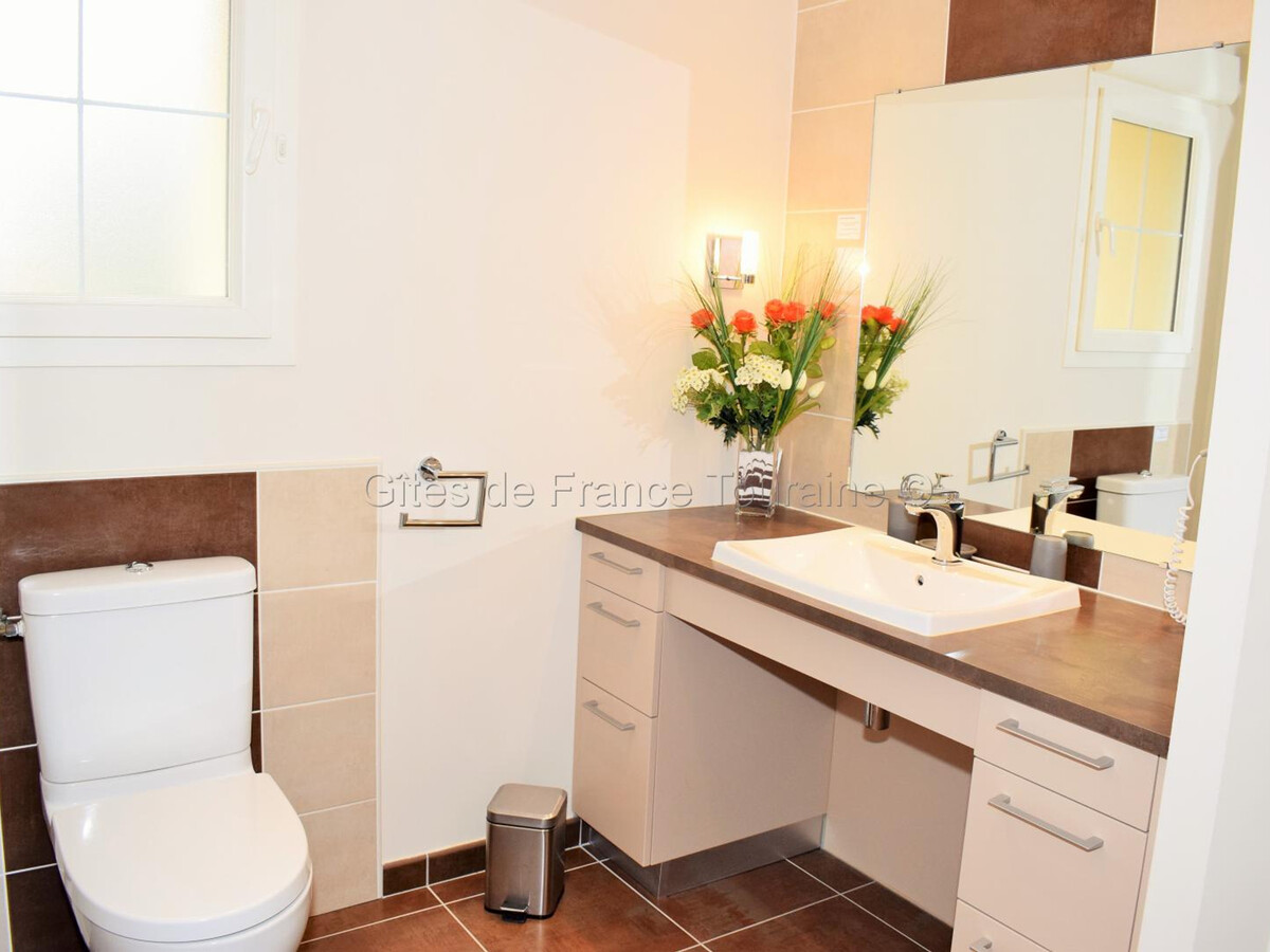 Gîte Touraine 6 pers. Spa, Sauna et Fitness - Photo 19