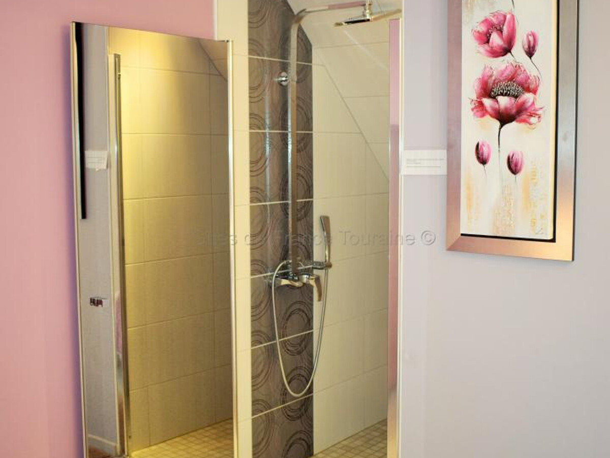 Gîte Touraine 6 pers. Spa, Sauna et Fitness - Photo 33