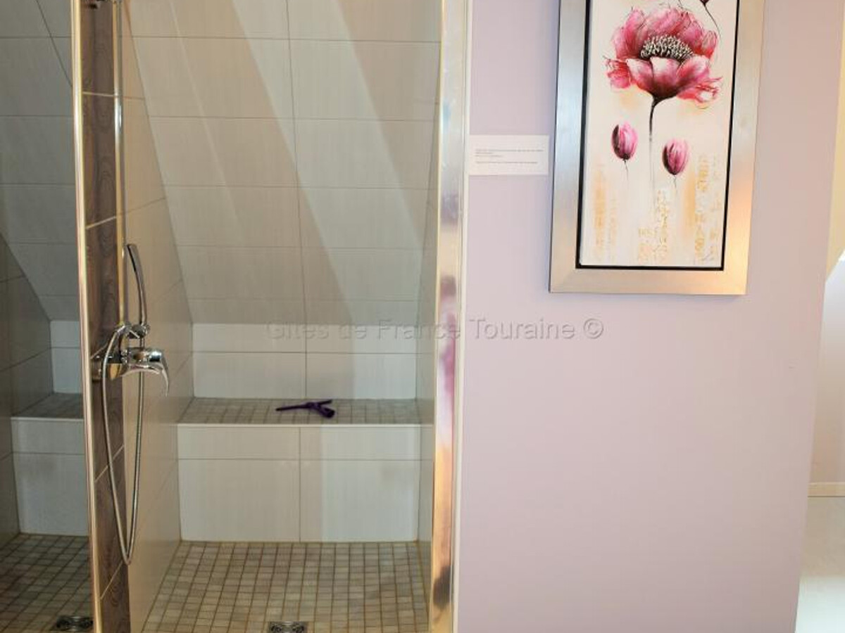 Gîte Touraine 6 pers. Spa, Sauna et Fitness - Photo 34