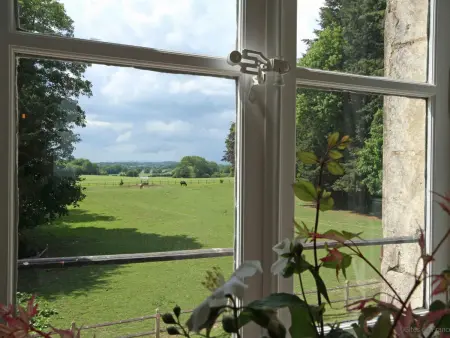 Vivez le Charme du Château avec WiFi à Bellavilliers - Photo 17