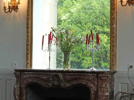 Vivez le Charme du Château avec WiFi à Bellavilliers - Photo 24