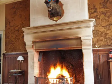 Vivez le Charme du Château avec WiFi à Bellavilliers - Photo 25