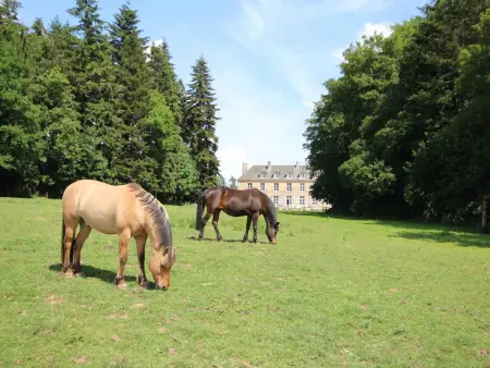 Vivez le Charme du Château avec WiFi à Bellavilliers - Photo 32