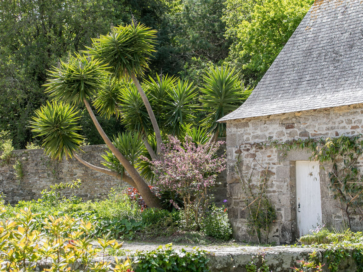 Zenaïde, gîte 2 pers. rénové 2023 à Concarneau - Photo 23