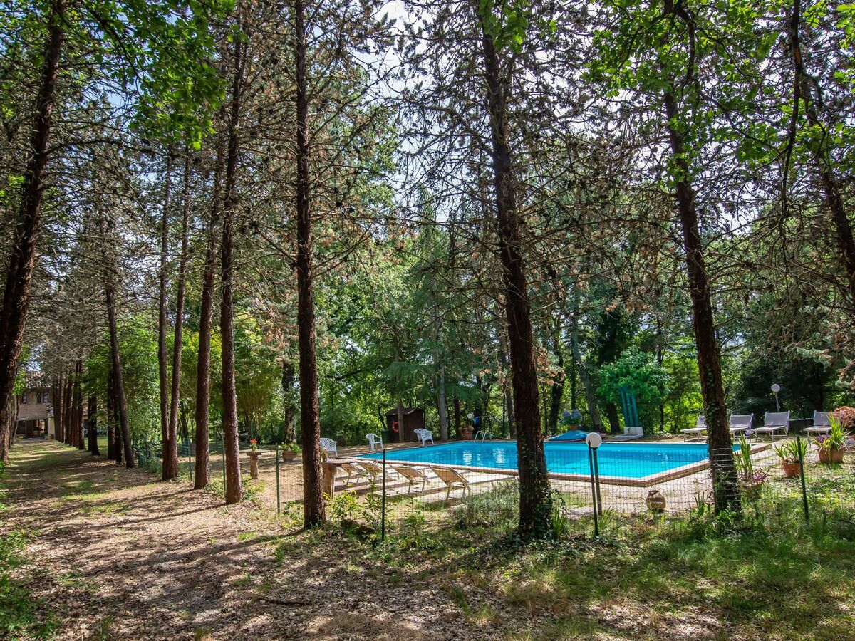 Villa Alari – Maison 14 pers., piscine privée à Cetona - Photo 35