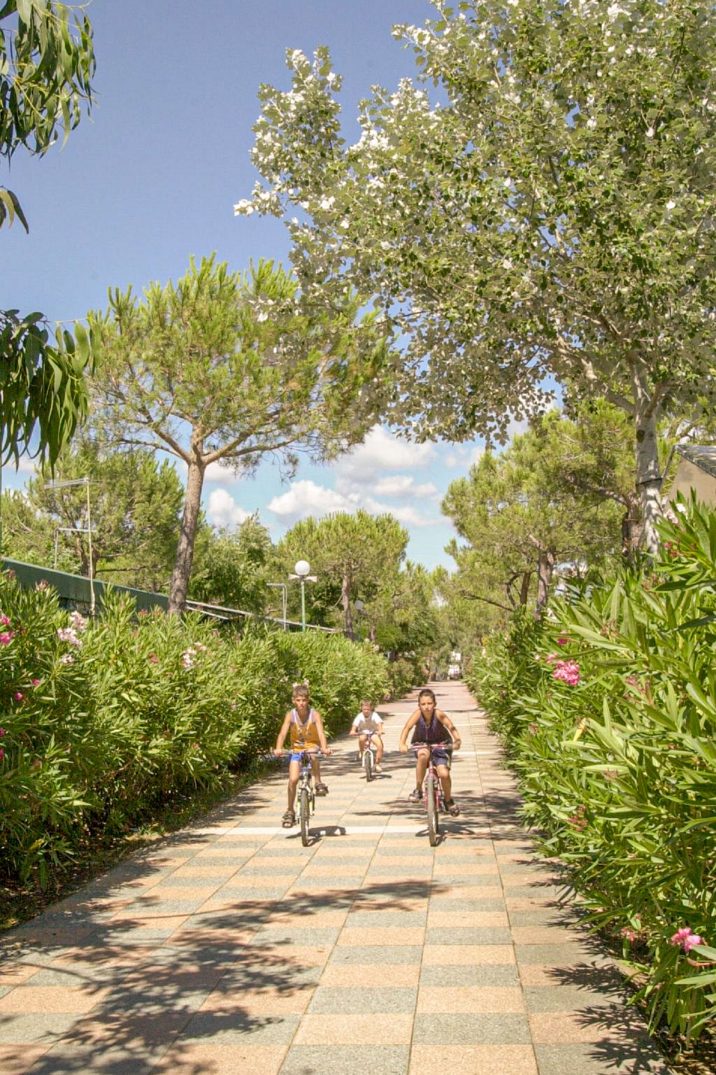 Mobil-home 4 pièces près de la plage, Marina di Bibbona - Photo 23