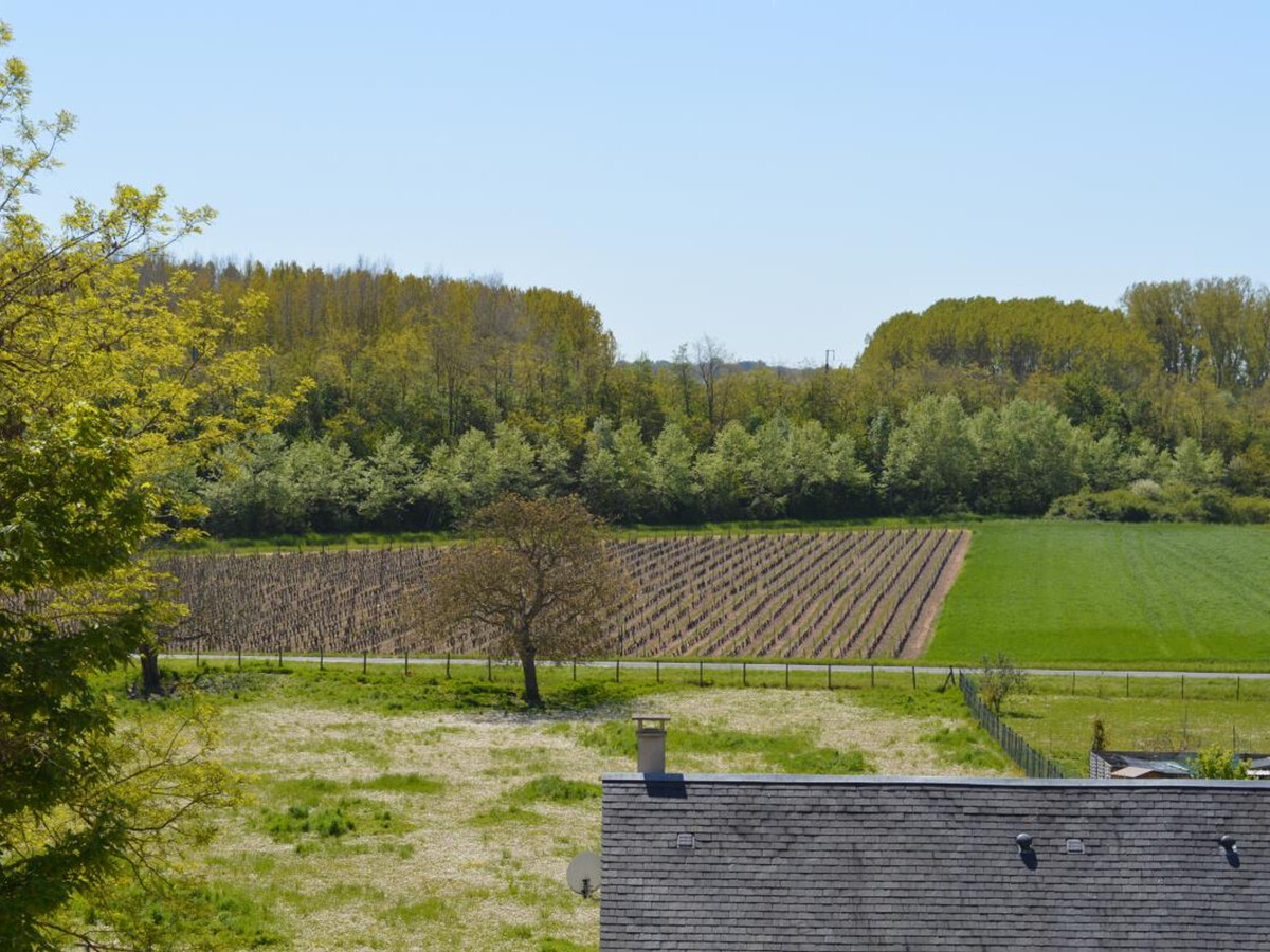 Gîte viticole à Vouvray avec jardin et dégustation - Photo 13