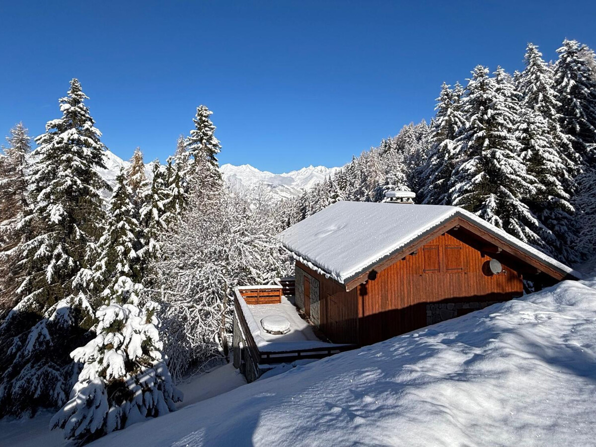 Chalet 120m² Peisey-Vallandry, 12 pers, vue vallée - Photo 1
