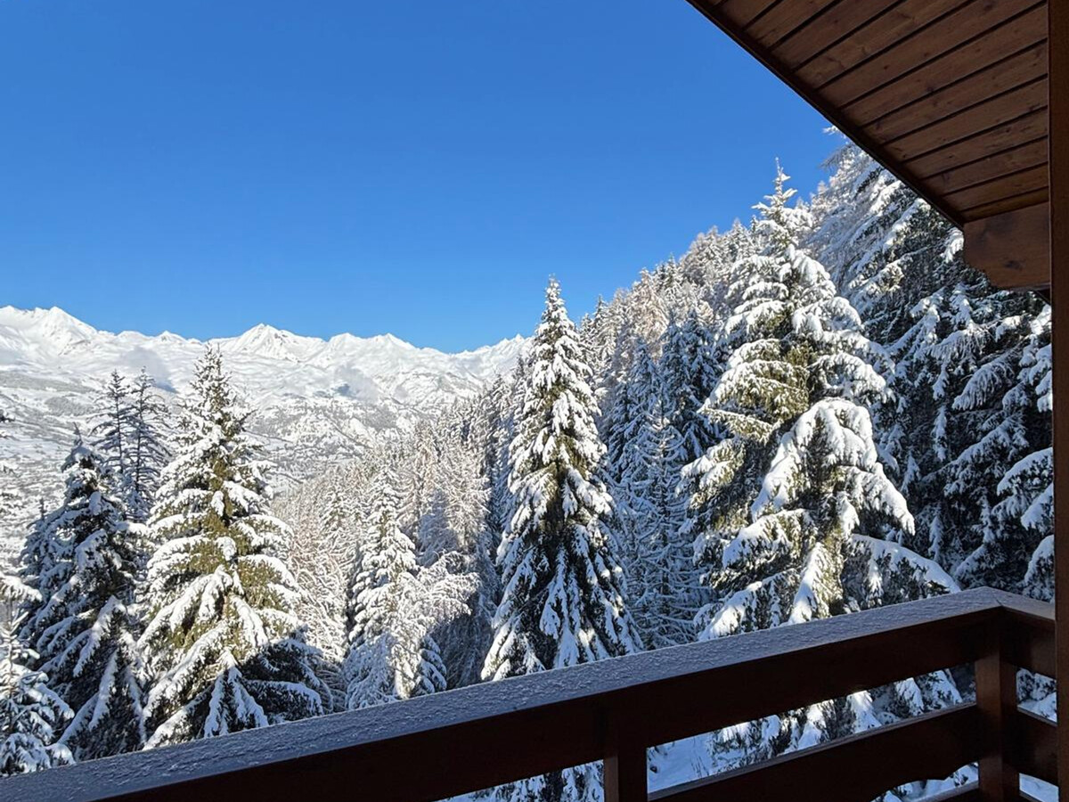 Chalet 120m² Peisey-Vallandry, 12 pers, vue vallée - Photo 14