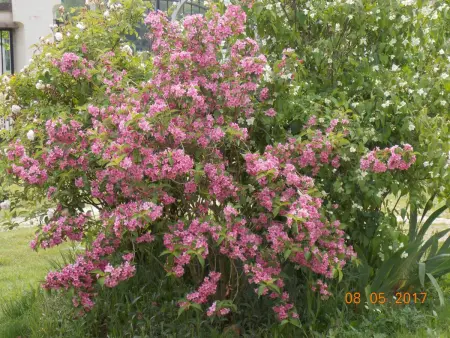 Gîte 5 pers. à Huismes, cour fermée près de Chinon : photo 28