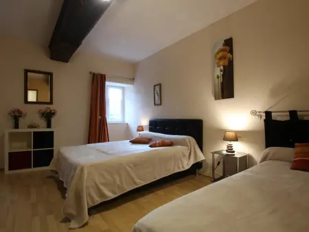 Gîte 10 pers. en pierre avec terrain 3000m² à Héauville : photo 20