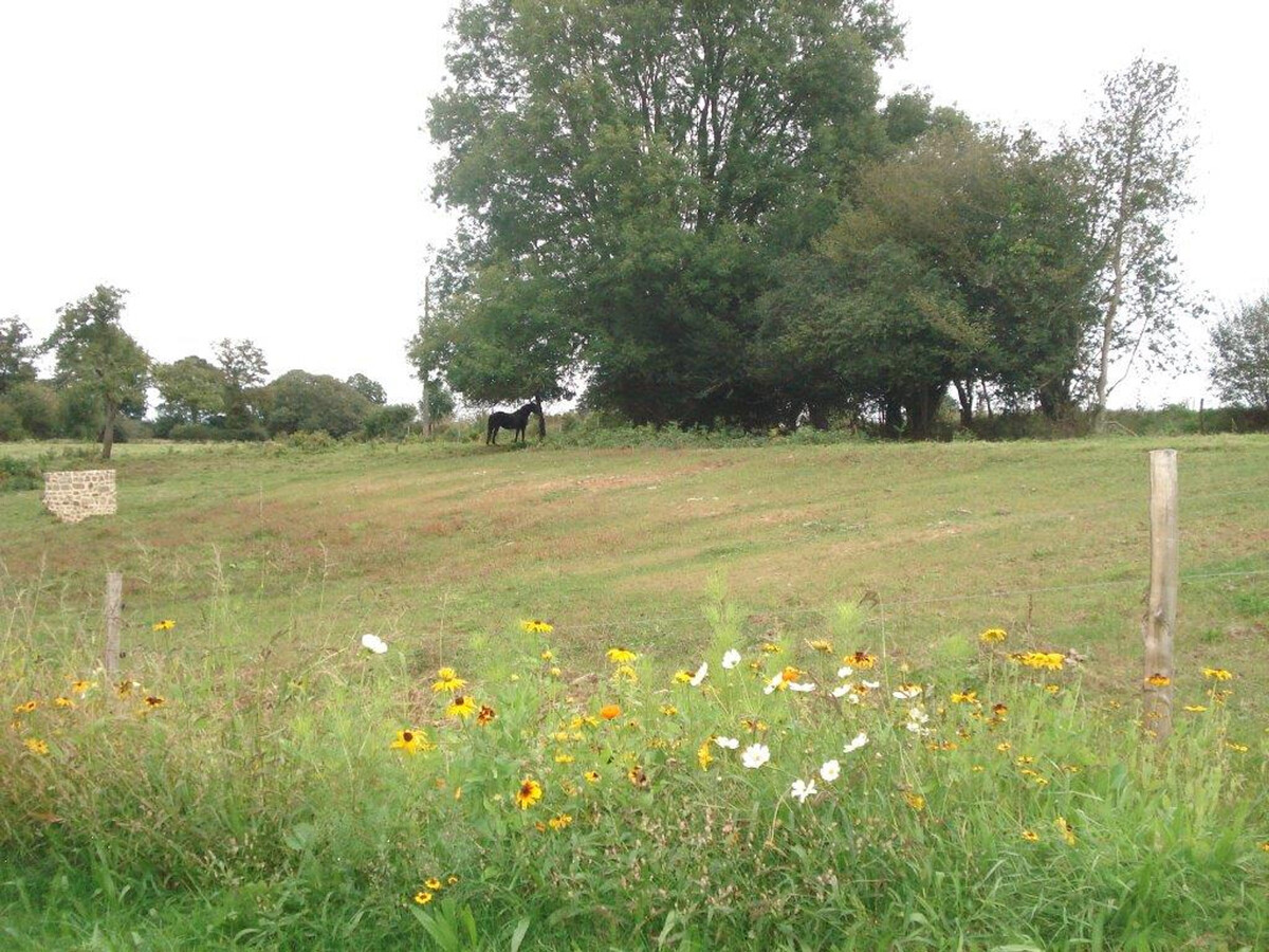 Gîte 5 pers. avec poêle à bois près Mont Saint-Michel - Photo 21