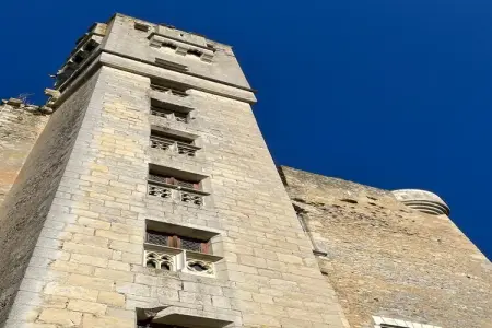 La Chauffarderie : maison 4 pers. avec piscine couverte : photo 35