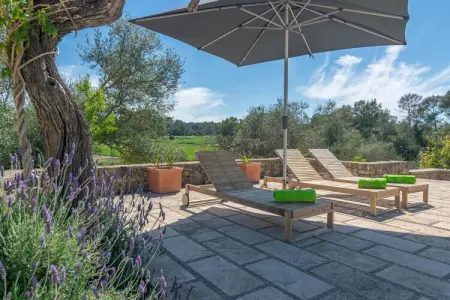 Villa Hortella : piscine privée et terrain à Sant Joan : photo 26