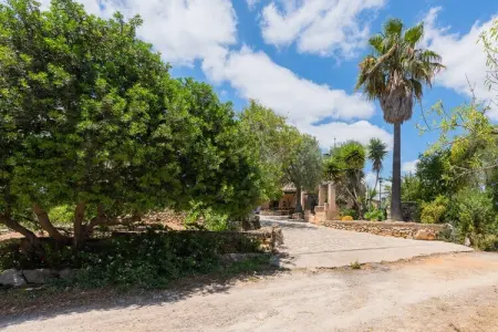 Villa Hortella : piscine privée et terrain à Sant Joan : photo 30
